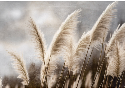 Нежен фототапет с декоративни треви в бежови тонове